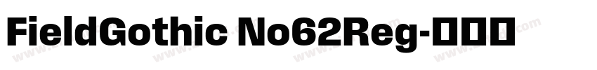 FieldGothic No62Reg字体转换